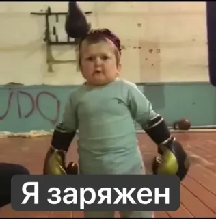 👊 d7b08b52 Hasbulla Magomedov Я заряжен Hasbulla, Boxen, Kind, Russland, MMA telegram sticker