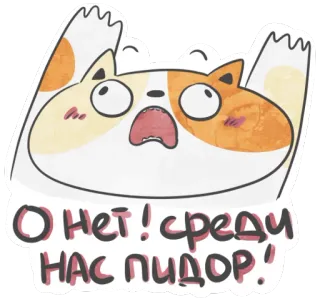 😨 880fc21a О нет! среди нас пидор! Katze, geschockt, beleidigend, Schimpfwort, russisch, Cartoon, Tier whatsapp sticker
