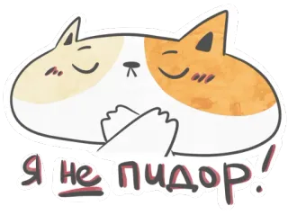 😎 ebd28447 Я не пидор! Katze, beleidigend, Aufkleber, russisch, Schimpfwort whatsapp sticker