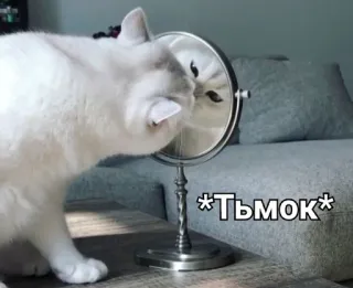 😘 69e930ec *ТЬМОК* кот, зеркало, животное, милый, русский, питомец, смешной telegram sticker