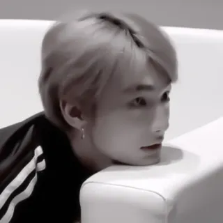 🐾 52749333 whatsapp sticker