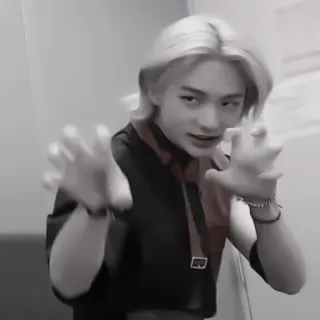 🐾 e6498fe1 whatsapp sticker