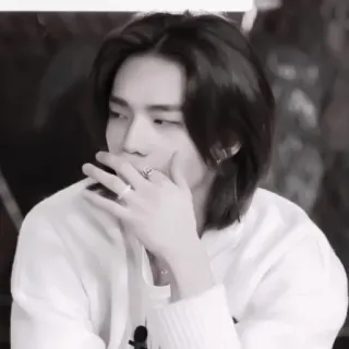 🐾 ed619a5d whatsapp sticker