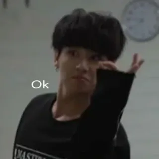 👌 2a26b44d Ok ok, zustimmung, meme, asiatisch, person, zustimmung, bestätigung telegram sticker