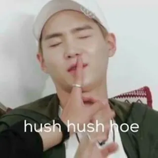 🤫 7a593507 hush hush hoe Meme, Beleidgend, Schimpfwort, Psst, Person, Finger auf Lippen telegram sticker