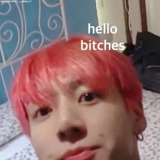 👋 c8557565 hello bitches Meme, beleidigend, Hallo, Spaß, Internet, lustig, K-Pop telegram sticker