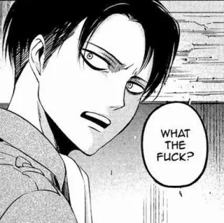 😨 b0acf4e5 Levi Ackerman Attack on Titan WHAT THE FUCK? Anime, Manga, Levi, Attack on Titan, Schimpfwort, Ausdruck telegram sticker