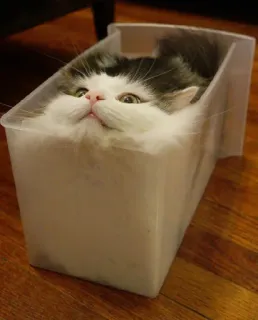 mood telegram stickers