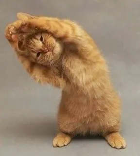 mood telegram stickers