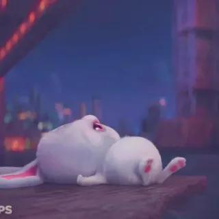 🎟 18a254bb królik, słodki, zwierzę, leżący, biały whatsapp sticker