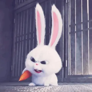 🎟 1ec65645 Snowball The Secret Life of Pets królik, zajączek, marchewka, zwierzę, kreskówka, zwierzę domowe whatsapp sticker