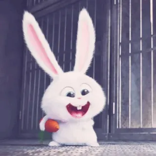 🎟 2b959be9 Snowball The Secret Life of Pets królik, słodki, kreskówka, zwierzę, Snowball, Sekretne życie zwierzaków domowych, zajączek whatsapp sticker