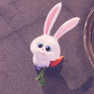 𝘔𝘰𝘰𝘯𝘣𝘰𝘸 telegram stickers