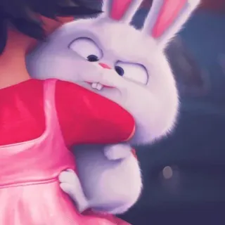 ☁️ 7afdd856 królik, słodki, zwierzę, zwierzak whatsapp sticker