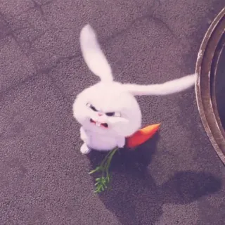 🍧 a0229234 Snowball The Secret Life of Pets królik, królik, zły, kreskówka, marchewka, zwierzę domowe whatsapp sticker