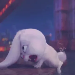 🎟 e784fa81 królik, królik, zwierzę, kreskówka, słodki, śmieszny whatsapp sticker