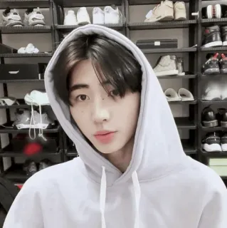 ☁️ 16026d9f telegram sticker