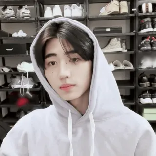 🪙 555130fe telegram sticker