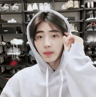 🪙 809821c5 telegram sticker