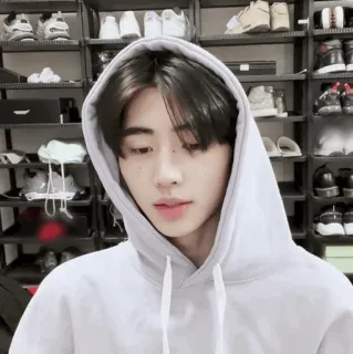 ☁️ 81775881 telegram sticker