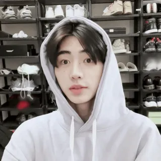 🏏 8f8bb07c คน, เสื้อมีฮู้ด, เซลฟี่, ในร่ม telegram sticker