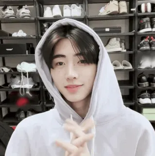 🏏 a3238dbb telegram sticker