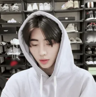 🏏 a7f2bd36 telegram sticker