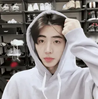 🏏 afd6e9d4 telegram sticker