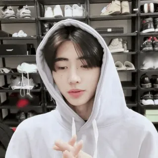 ☁️ bccdb24b telegram sticker