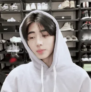 🪙 d5332cf5 telegram sticker