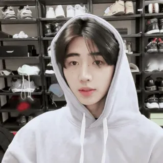 🏏 dd54579e telegram sticker