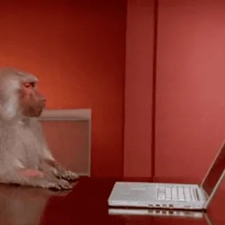 ๐ป 0866e4f5 monkey, laptop, typing, animal telegram sticker