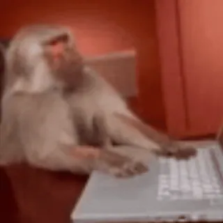 ๐ป 12cf61e9 monkey, computer, laptop, typing, animal telegram sticker