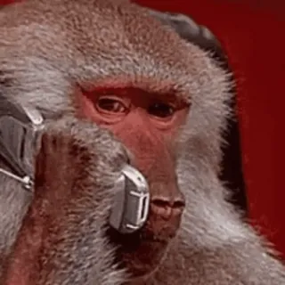 ๐ฑ 5eac9121 monkey, animal, phone, talking telegram sticker