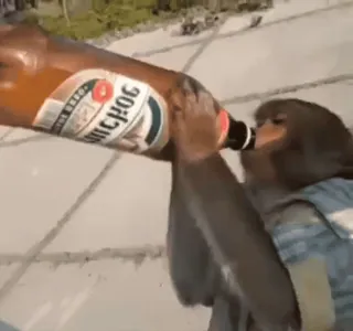 ๐บ 720747c7 monkey, beer, drinking, alcohol, animal telegram sticker