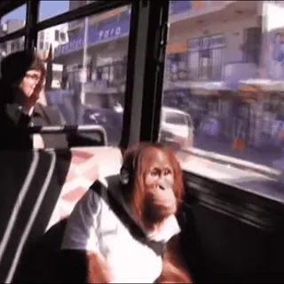 ๐ 742fba1d orangutan, bus, animal, headphones, ape, transportation telegram sticker