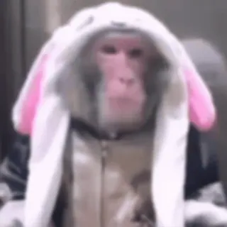 ๐ฐ 77e9edfa monkey, bunny, animal, costume, mammal, primate telegram sticker