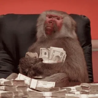 ๐ค b1522fa5 money, baboon, animal, wealth, rich telegram sticker