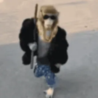๐ถ b74e6aa1 monkey, rifle, sunglasses, clothing, animal telegram sticker