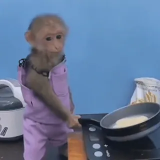 ๐ณ e7e7f5f9 monkey, cooking, chef, animal, cute telegram sticker
