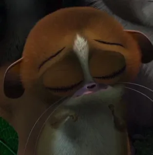 😔 38958153 Mort Madagascar 만화, 모트, 마다가스카르, 여우원숭이, 귀여운 telegram sticker