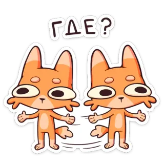 🤨 e32fca6e ГДЕ? 고양이, 질문, 동물, 어디 telegram sticker
