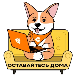 Корги от Motiv4g telegram stickers