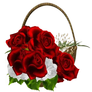 🌙 748652a1 mawar, bunga, keranjang, rangkaian bunga, mawar merah, mawar putih whatsapp sticker