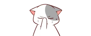 🤦‍♂ 1298480c gato, animal, gesto, dedo do meio, ofensivo whatsapp sticker