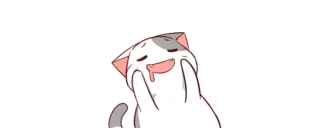 🤤 2dbe92d8 gato, sonolento, animal, desenho animado, fofo, engraçado, meme whatsapp sticker