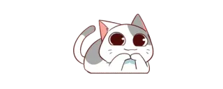 ☺️ 8d586bc5 gato, fofo, animal, adesivo, kawaii, desenho animado whatsapp sticker