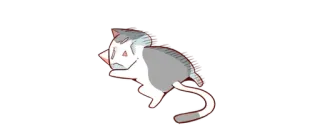 🥴 aff28a57 gato, animal, adesivo, desenho animado whatsapp sticker