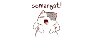 🔥 b7887c7e semangat! gato, fofo, animal, kawaii, motivacional, incentivo whatsapp sticker