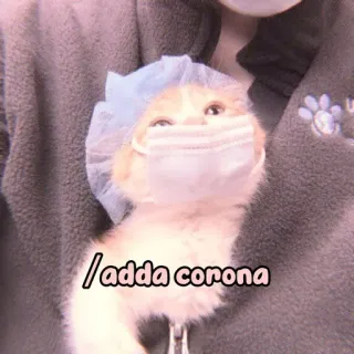 🐈 babcb87e /adda corona 猫, 口罩, 新冠, 疫情, 小猫, 手术帽 whatsapp sticker